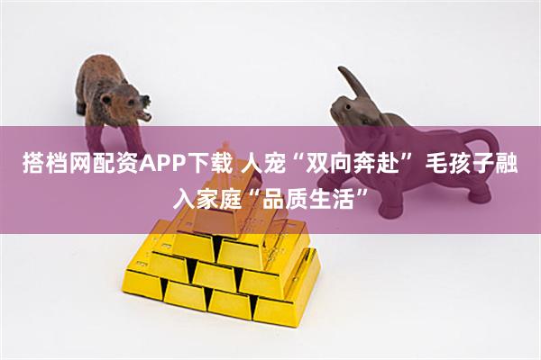 搭档网配资APP下载 人宠“双向奔赴” 毛孩子融入家庭“品质生活”