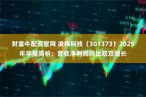 财富牛配资官网 凌玮科技（301373）2025年年报简析：营收净利润同比双双增长