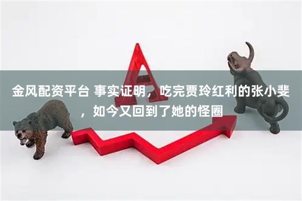 金风配资平台 事实证明，吃完贾玲红利的张小斐，如今又回到了她的怪圈