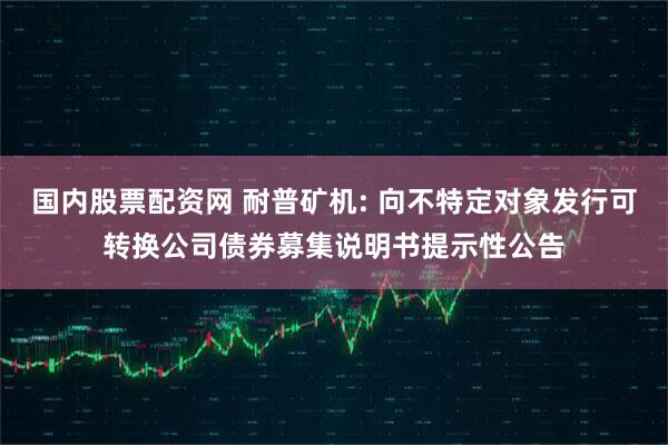 国内股票配资网 耐普矿机: 向不特定对象发行可转换公司债券募集说明书提示性公告