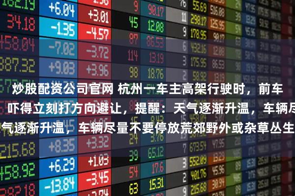 炒股配资公司官网 杭州一车主高架行驶时，前车排气管突然掉出一条蛇，吓得立刻打方向避让，提醒：天气逐渐升温，车辆尽量不要停放荒郊野外或杂草丛生的地方